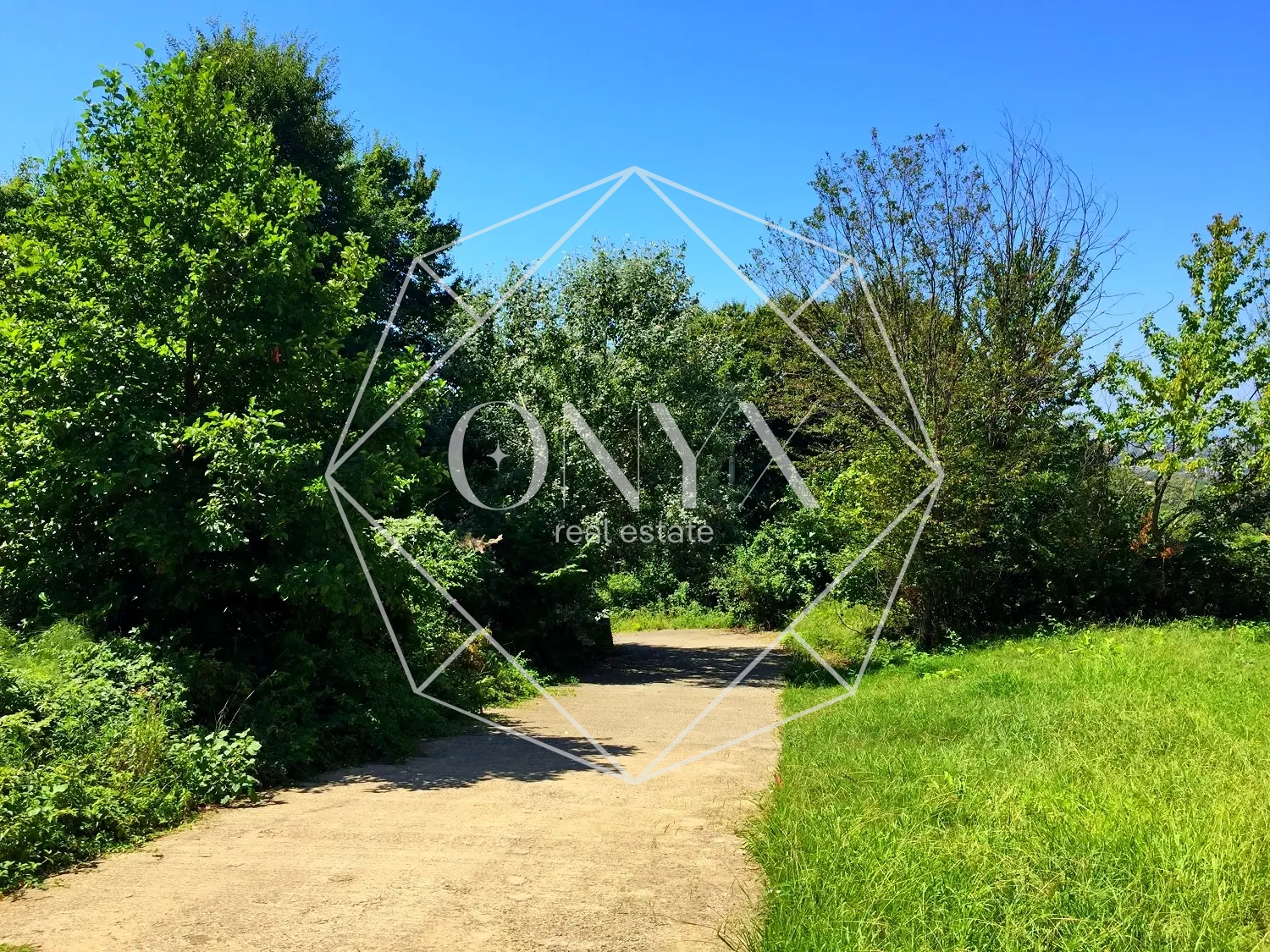 Изображение 15