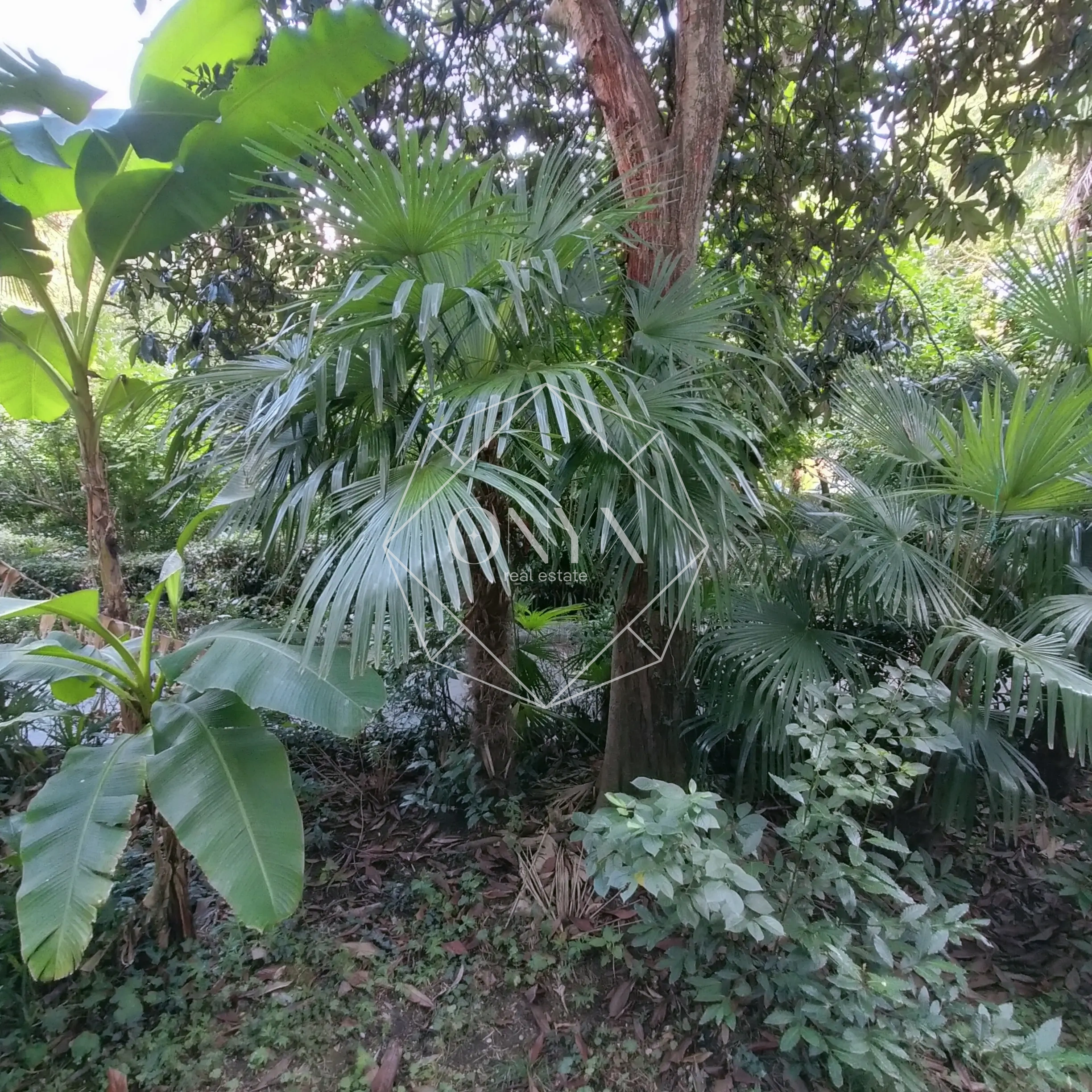 Изображение 15