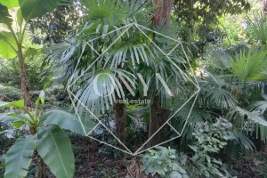 Изображение 15