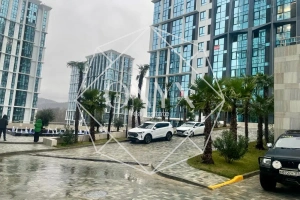 Изображение 11