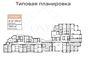 Изображение 11