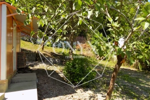 Изображение 16