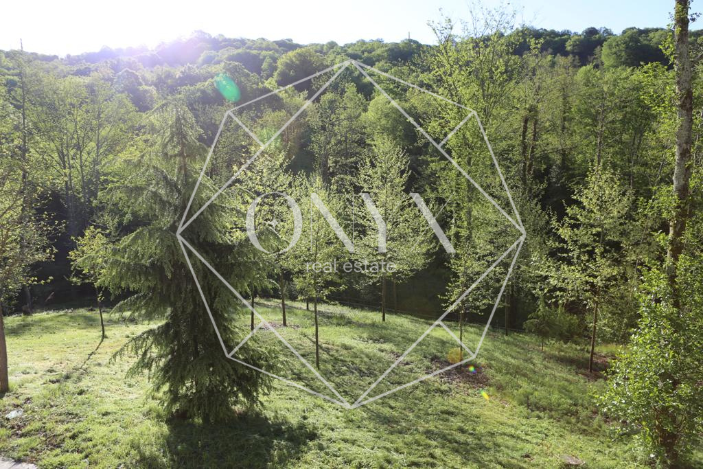 Изображение 17