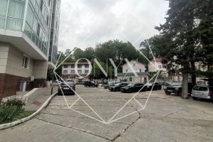 Изображение 22