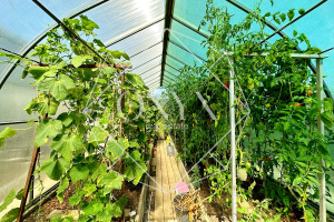 Изображение 18