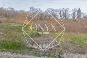 Изображение 23