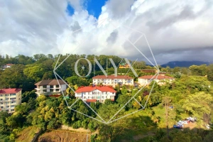 Изображение 15