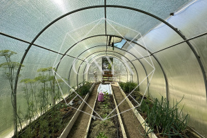 Изображение 19