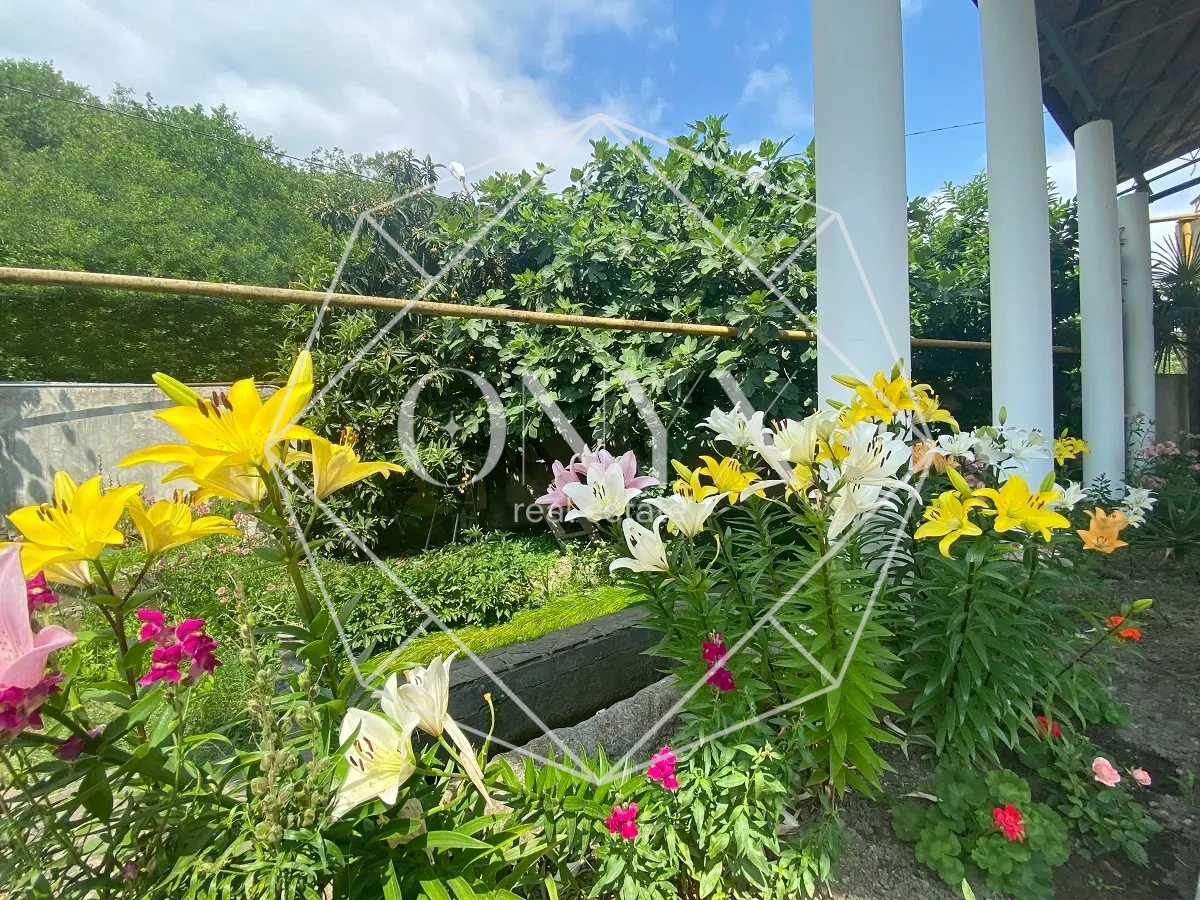 Изображение 27