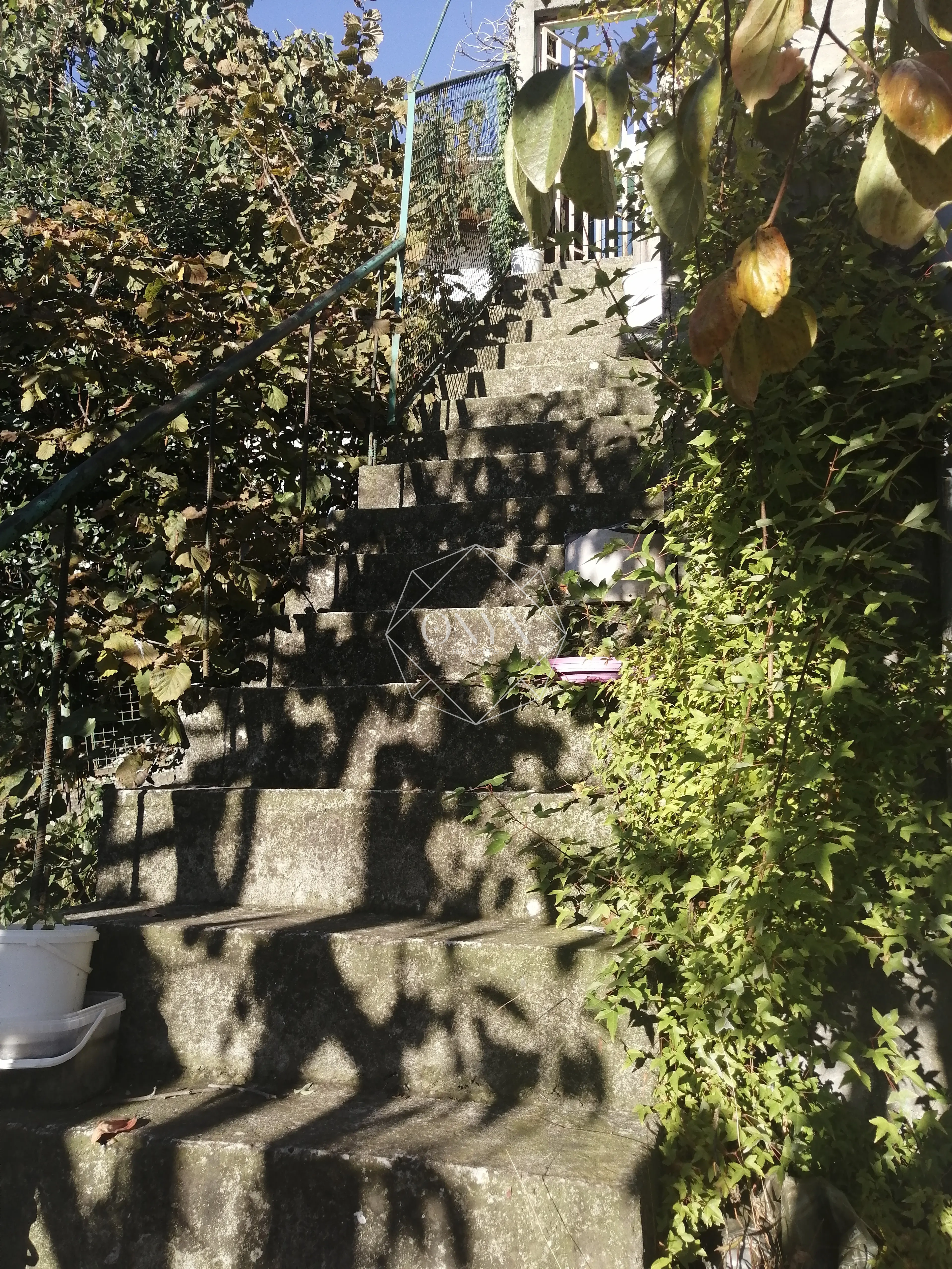 Изображение 19