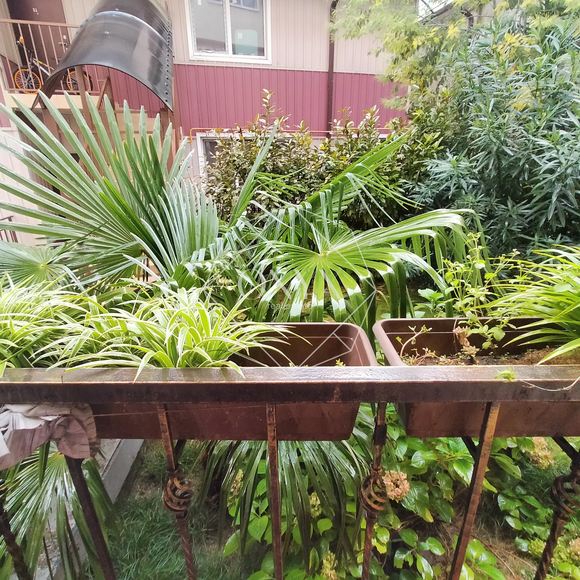 Изображение 12