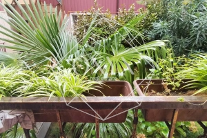 Изображение 12