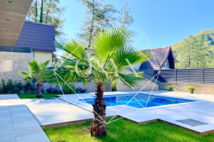 Изображение 26