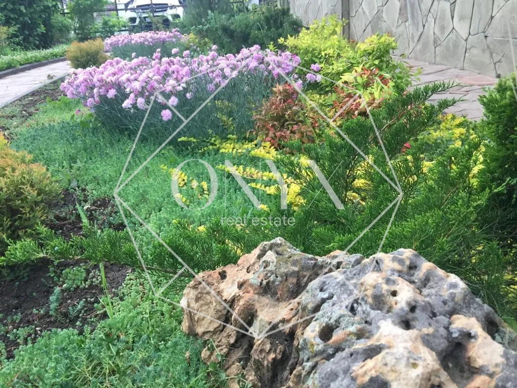 Изображение 13