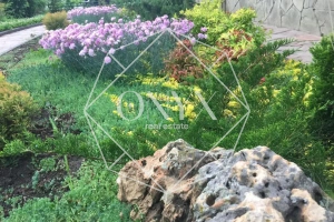 Изображение 13