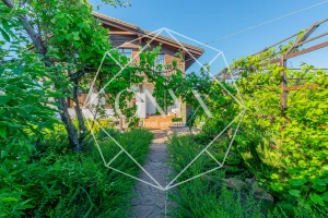 Изображение 28