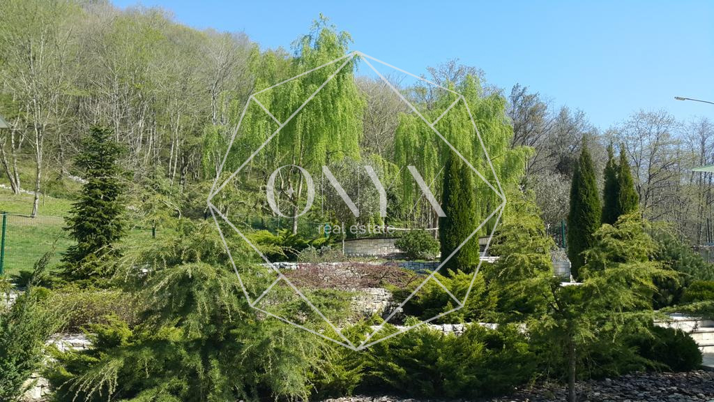 Изображение 8