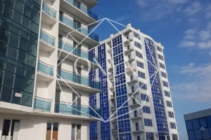 Изображение 11