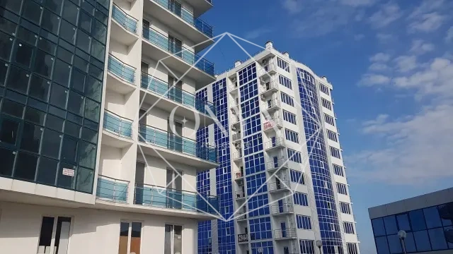 Изображение 11