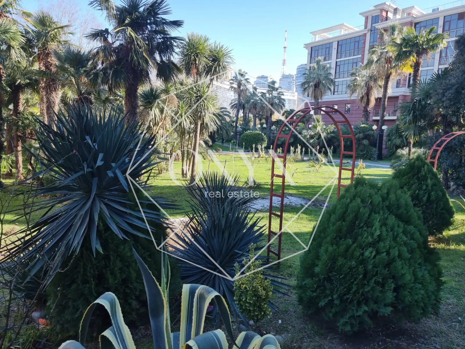 Изображение 4