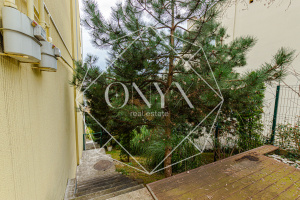 Изображение 31