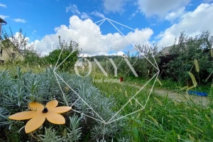 Изображение 20