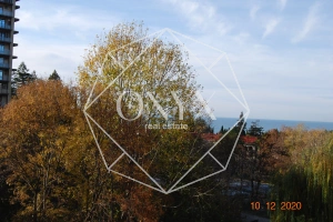 Изображение 14