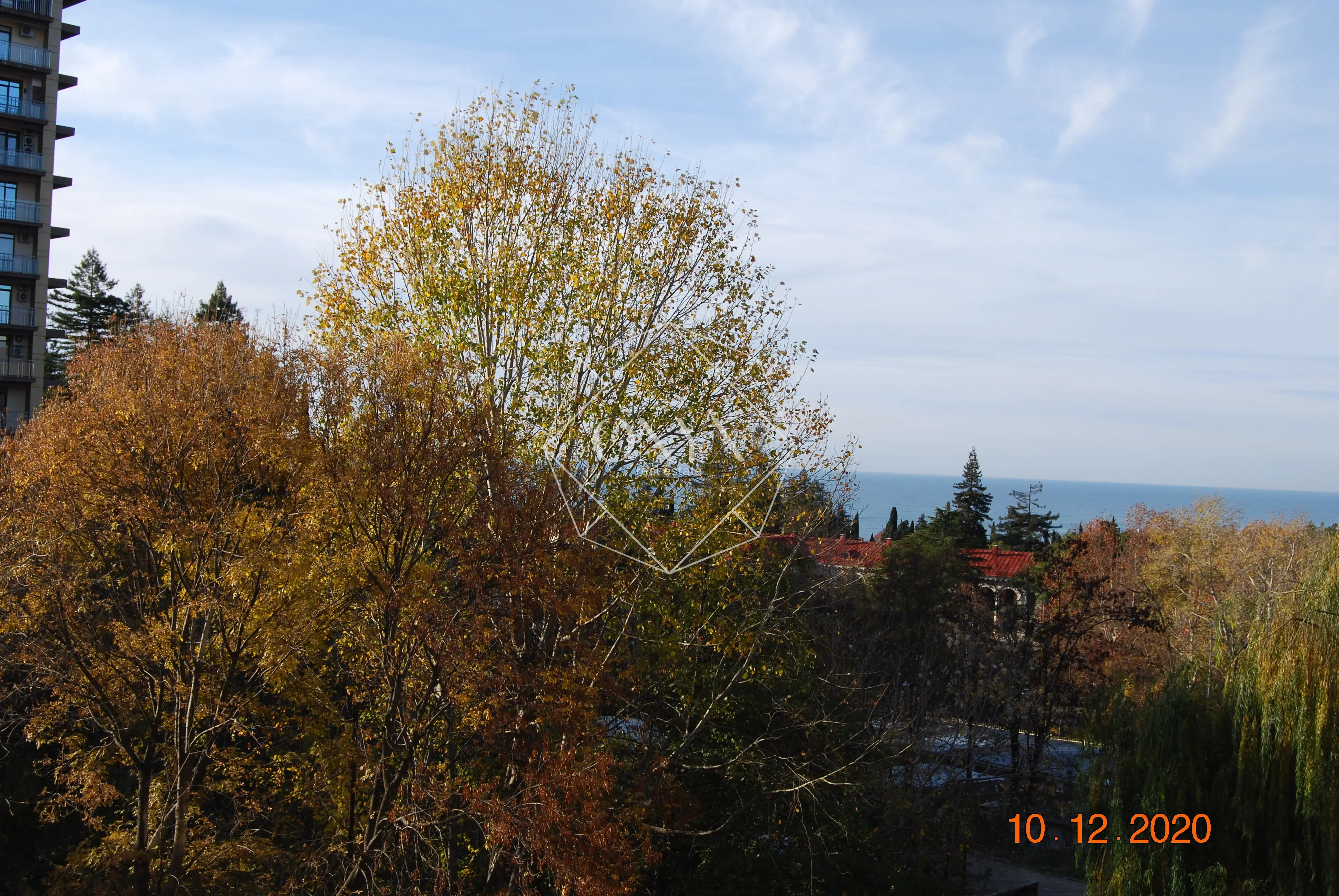 Изображение 14