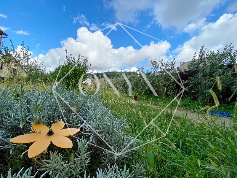 Изображение 20