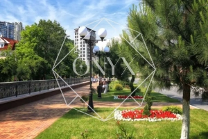 Изображение 23