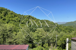 Изображение 27