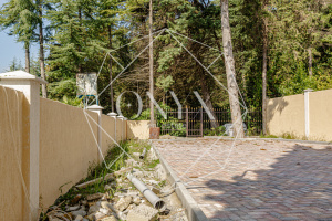 Изображение 14