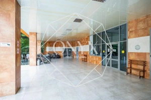 Изображение 27