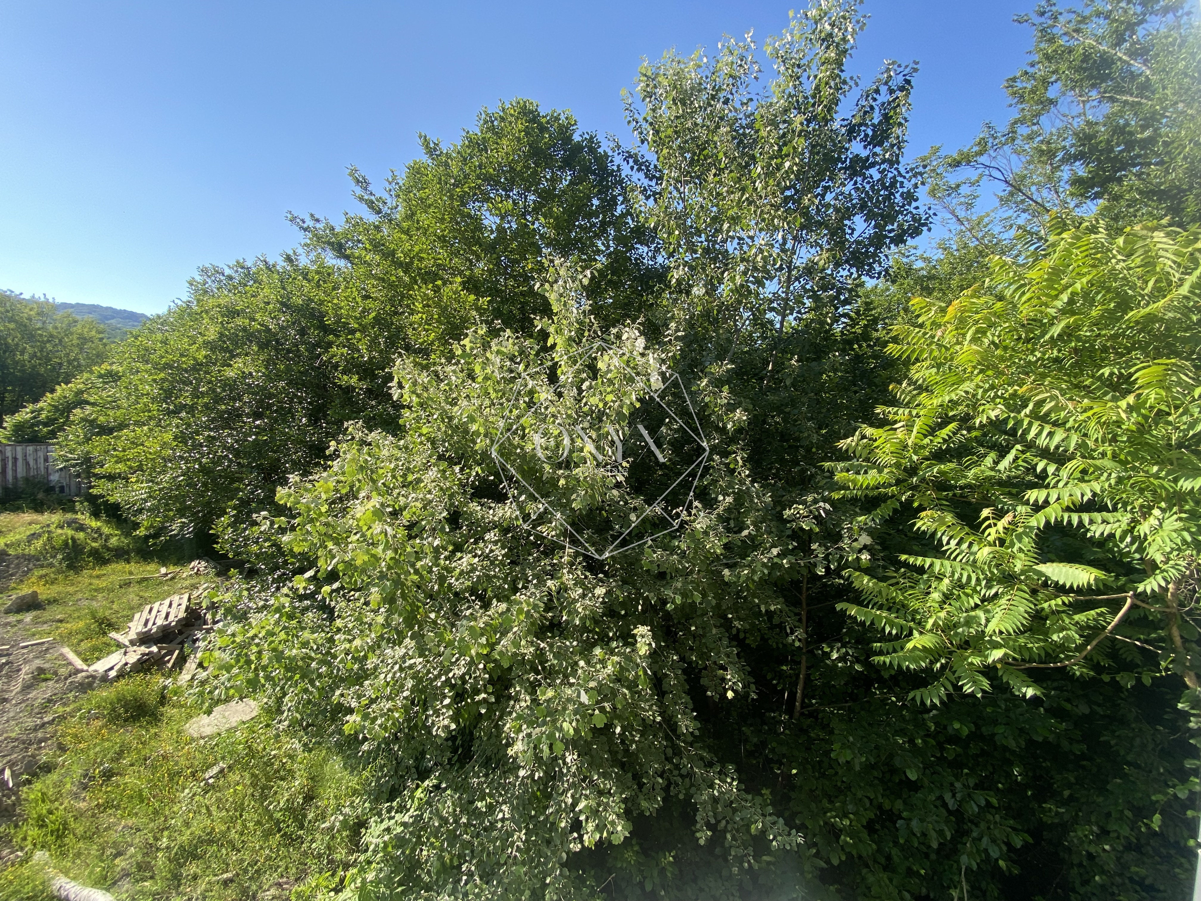 Изображение 10