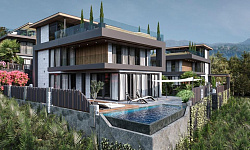 Дом в реликтовом лесу