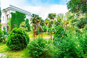 Изображение 12