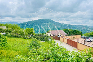 Изображение 11