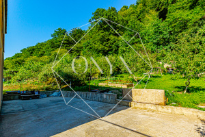 Изображение 13