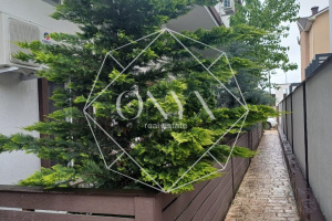 Изображение 11