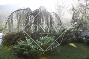 Изображение 14