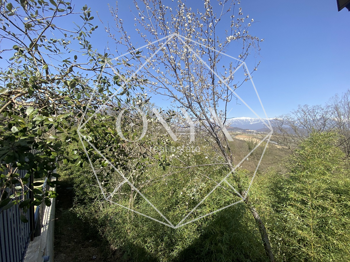 Изображение 19