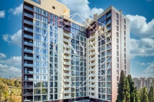 Изображение 8