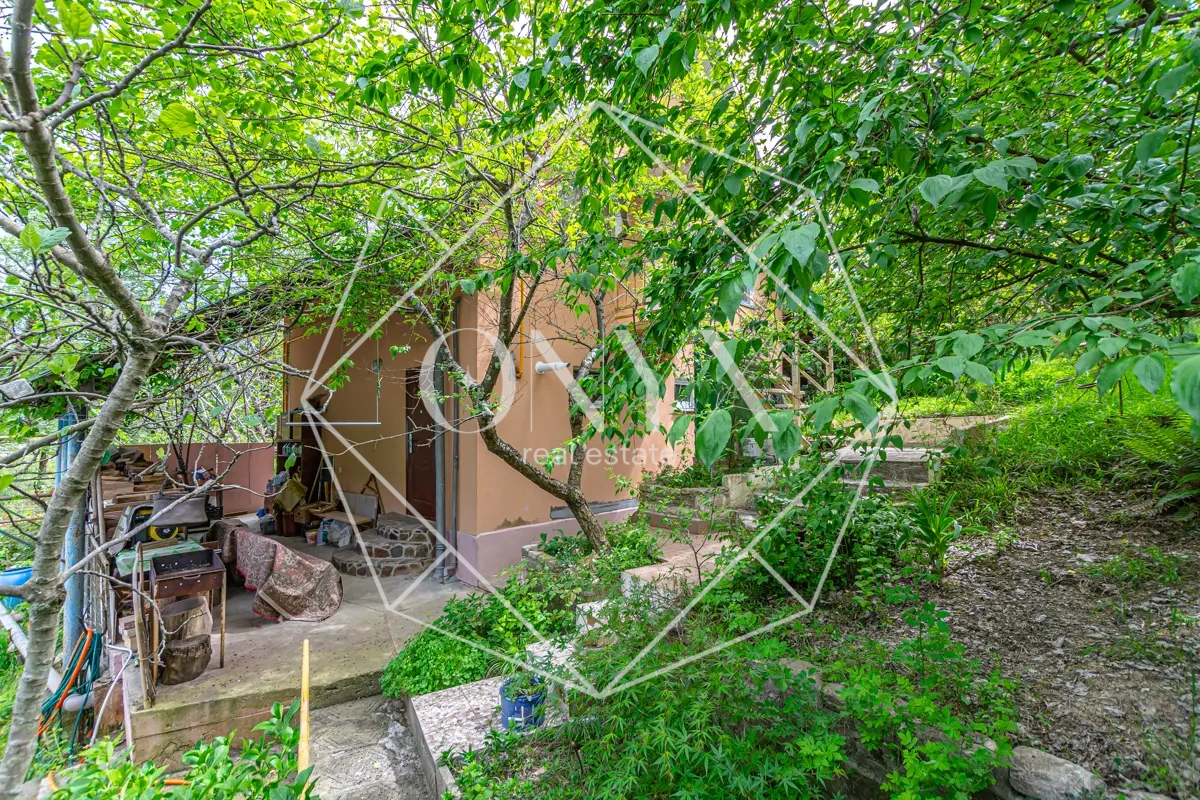 Изображение 29