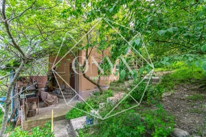 Изображение 29