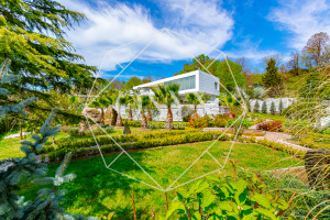 Изображение 12