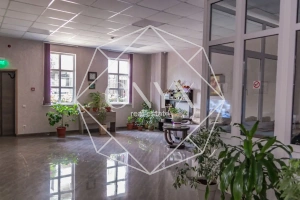 Изображение 8