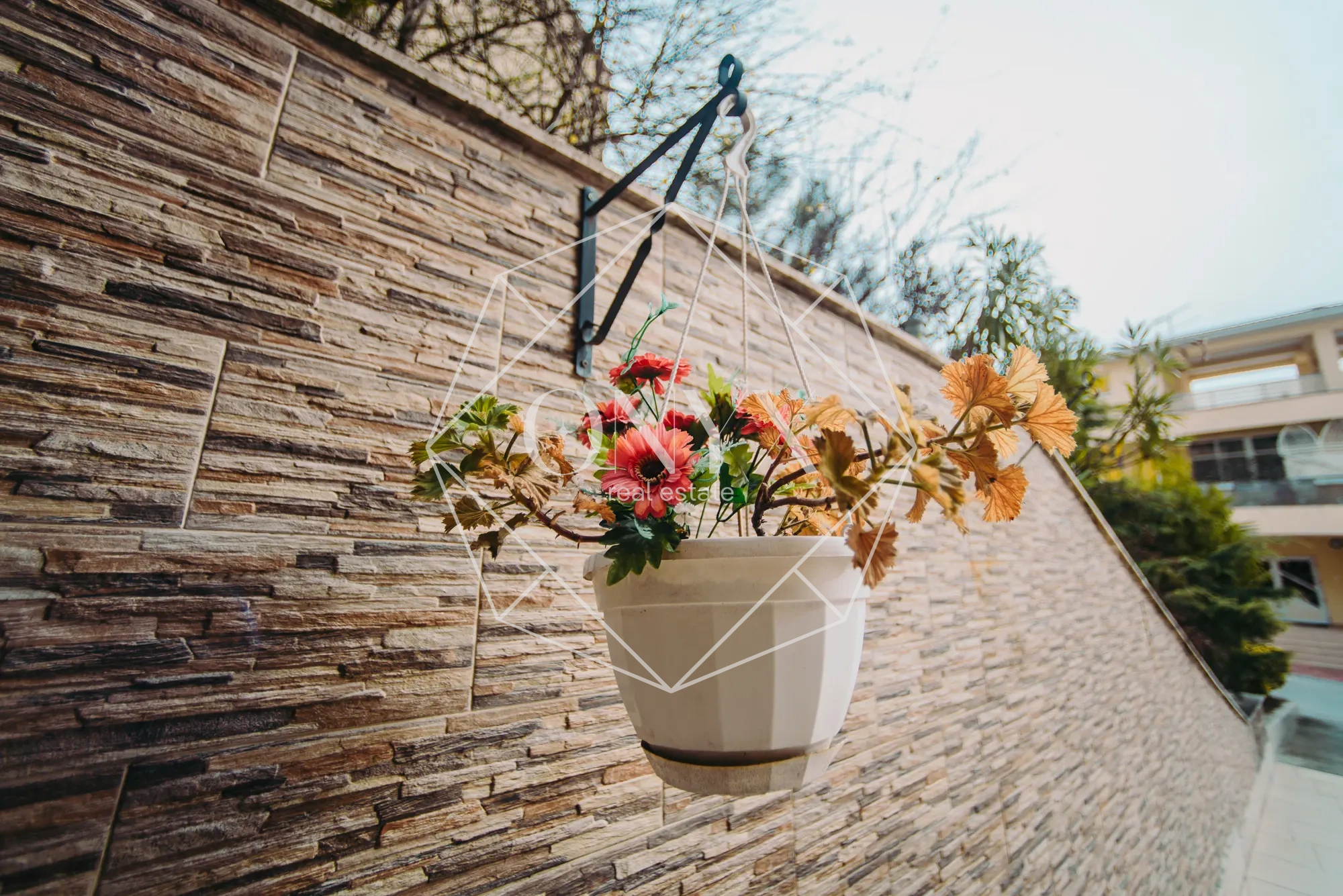 Изображение 12