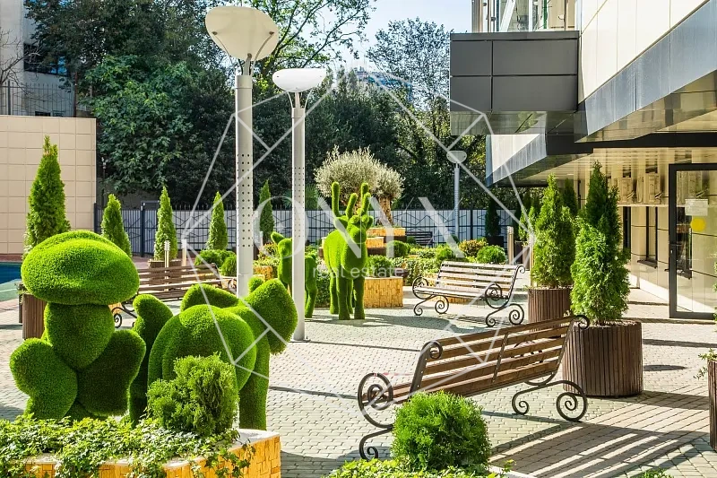 Изображение 8