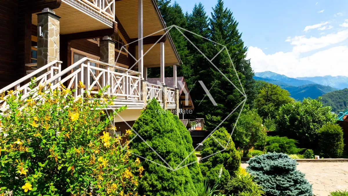 Изображение 13