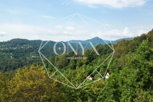 Изображение 22